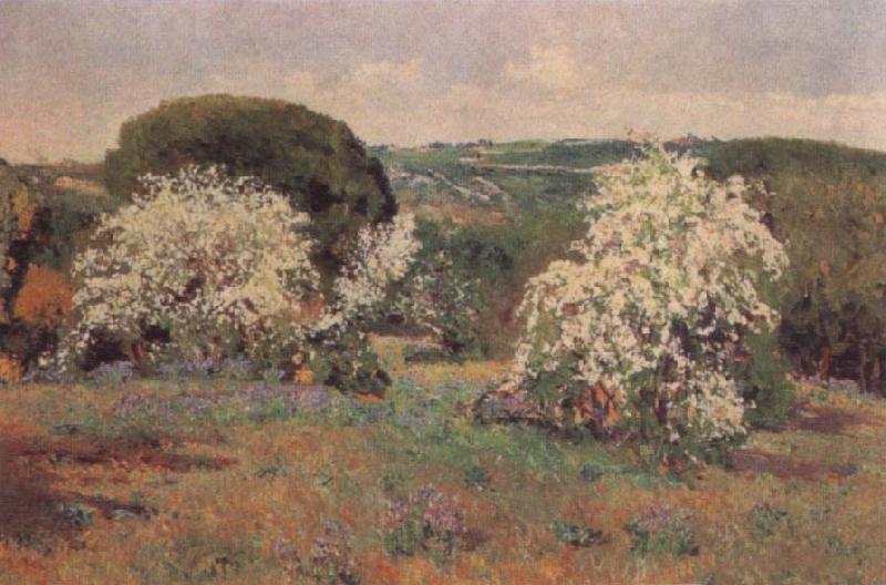 Aureliano De Beruete Y Moret Hawthorn in Blossom Norge oil painting art